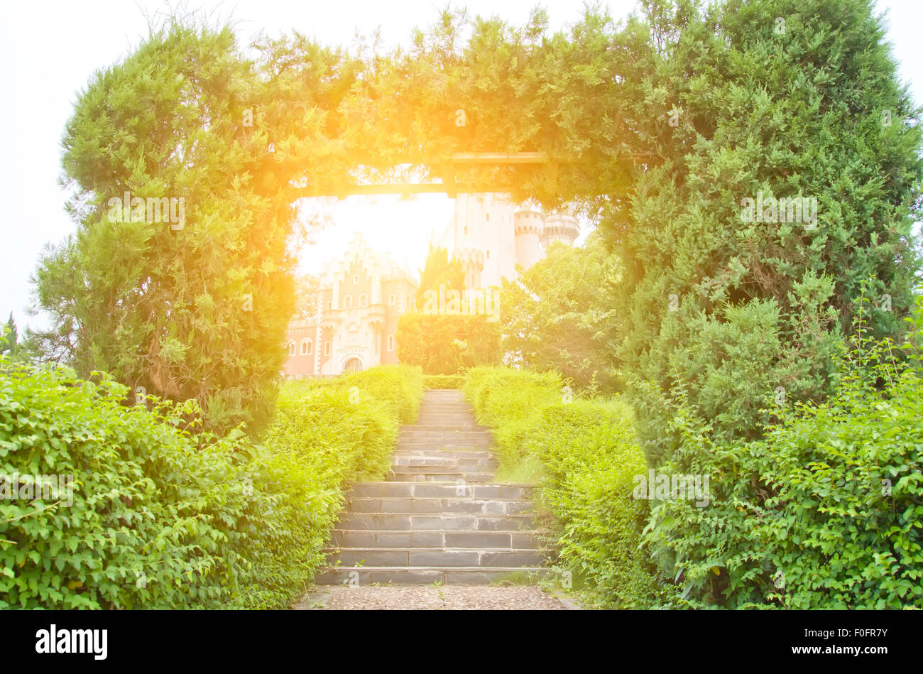 grüne Tür im park Stockfoto