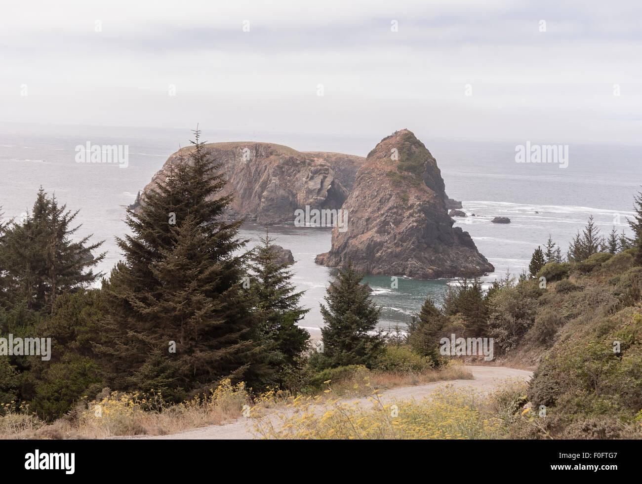 Blick auf Whaleshead Strand von Zufahrtsstraße. Stockfoto