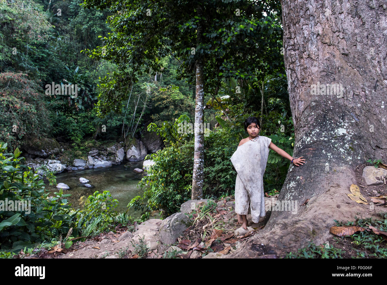Voller Länge Körper Porträt des jungen Mädchens Kogi oder Cogui Stamm Sierra Nevada in Santa Marta, Kolumbien Stockfoto