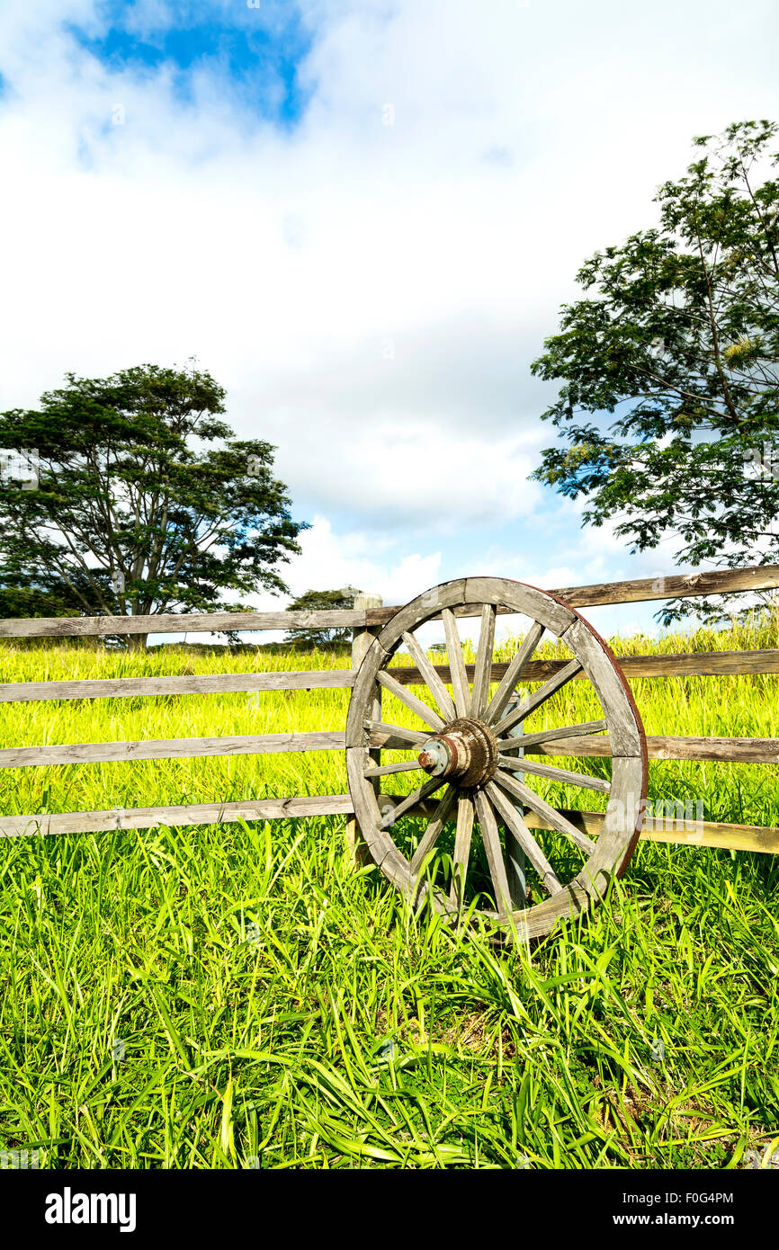 Eine lebendige, grüne Wiese hinter einem Zaun ranching und Wagenrad zeigt das üppige Wachstum in einem ländlichen Bauerndorf auf Kauai Stockfoto