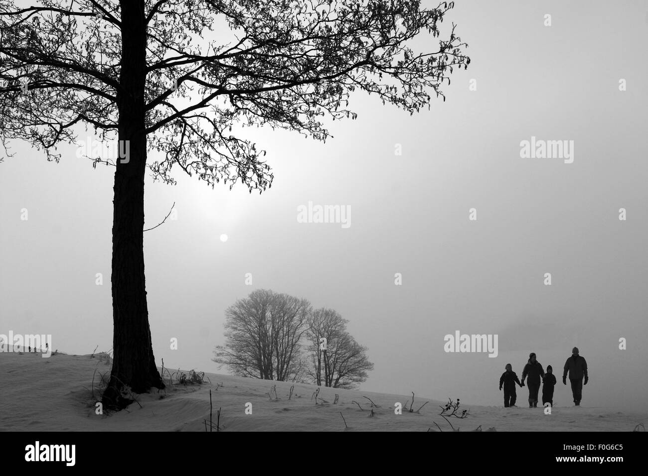 in der Morgensonne im Winter in Dänemark, ein Feld mit Bäumen Nebel und Schnee Stockfoto