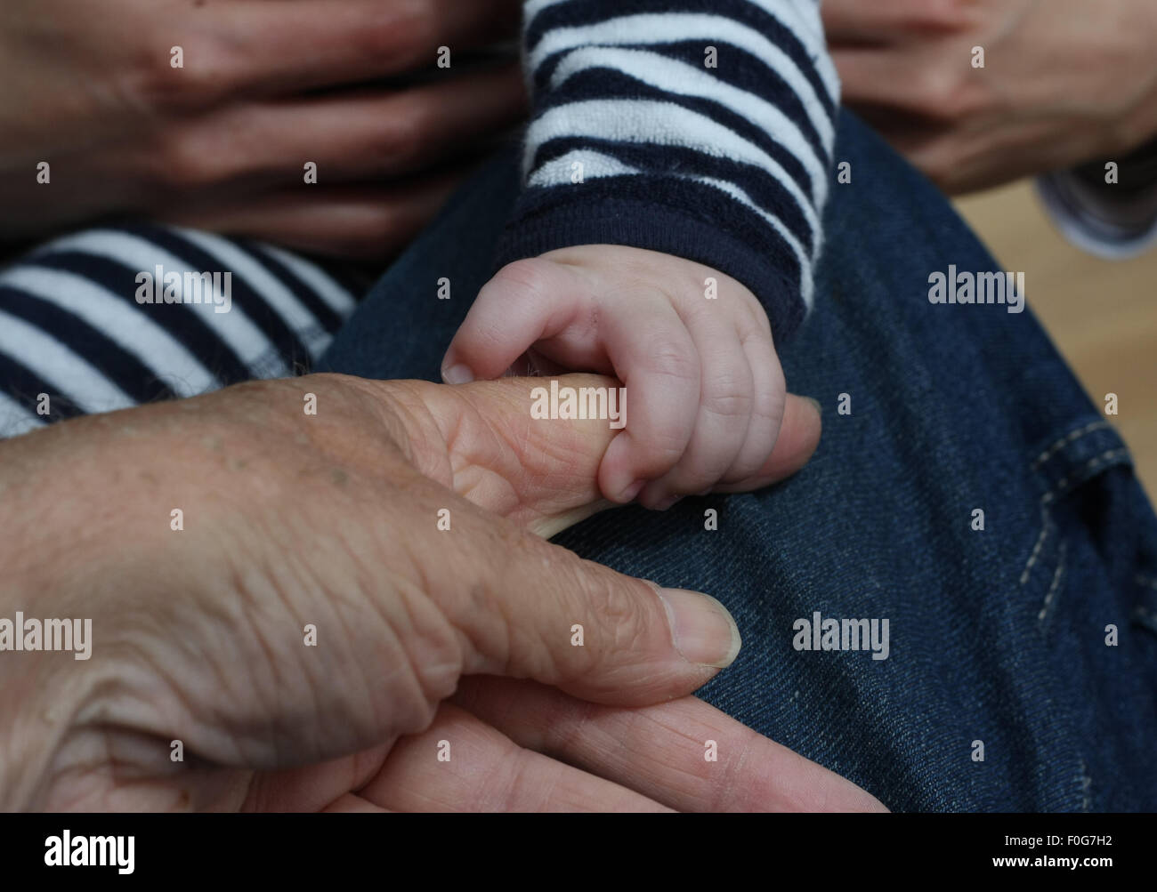 Baby hält des Erwachsenen hand Stockfoto