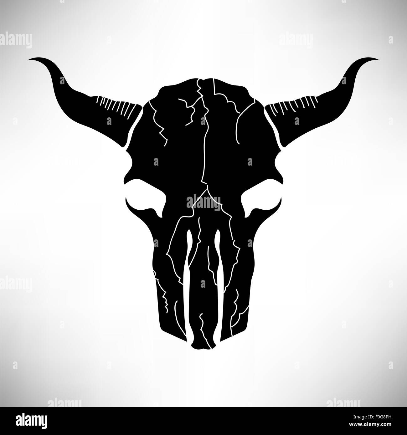 Bull Skull Stockfoto