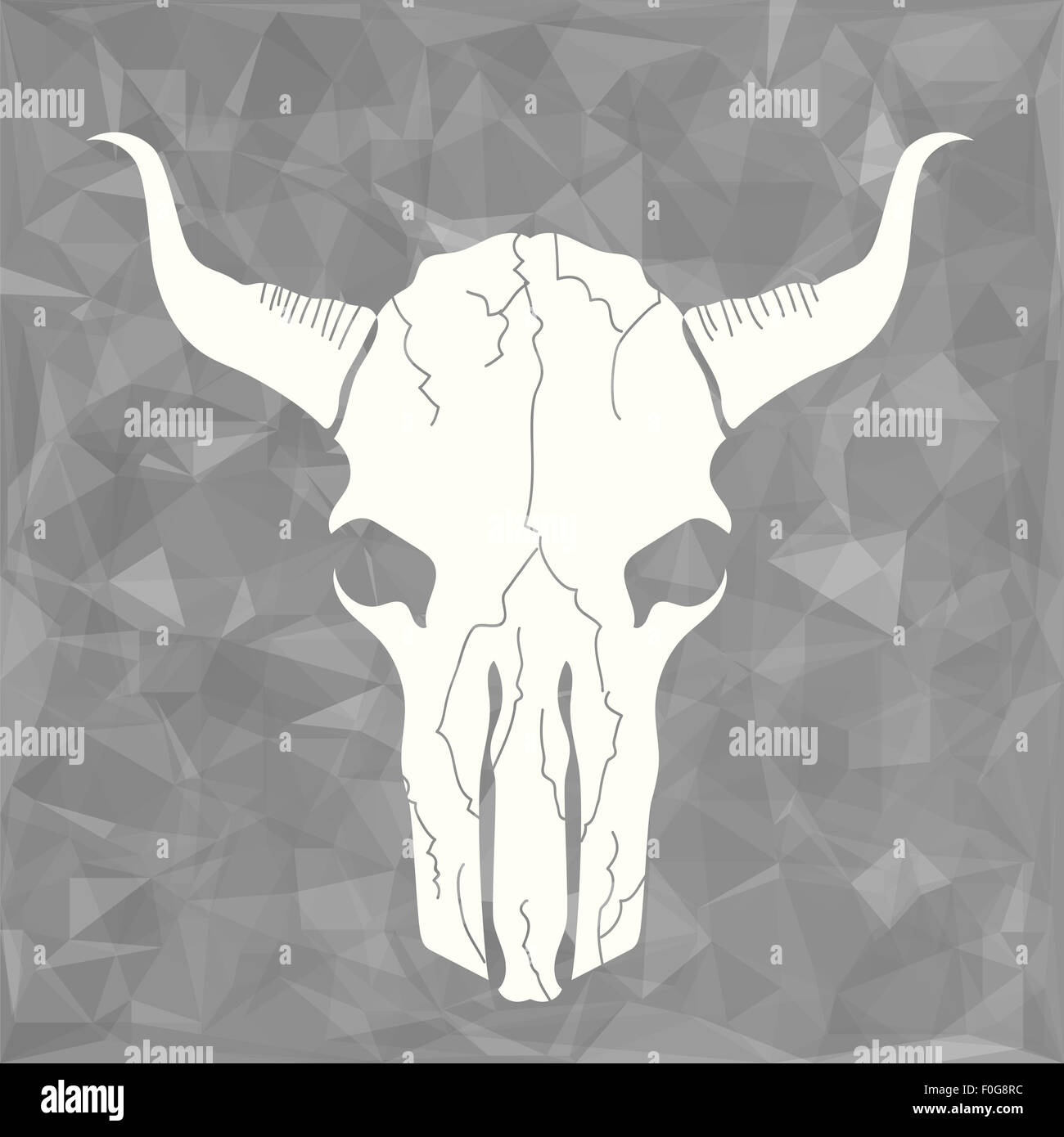 Schädel-Bull Stockfoto