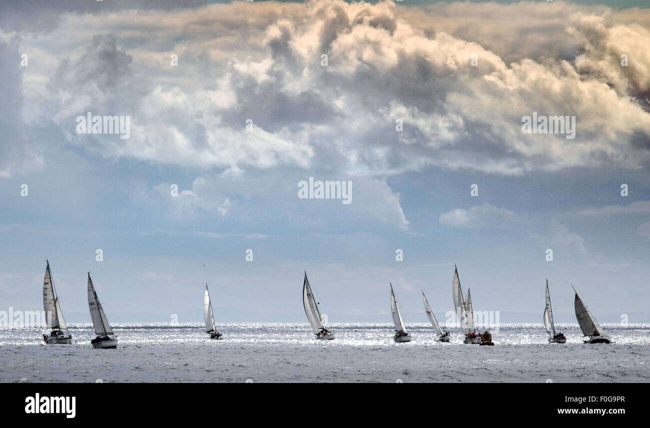 Panorama von mehreren Yachten Segeln am Horizont. Yacht Race oder regatta Rennen in Arbroath Meer Fest, ein jährliches Festival des Meeres statt entlang der Arbroath Küste um charmanten Hafen der Stadt und das neue Yacht Marina. 1997 gegründet, Meer Fest ist eine beliebte Feier der wunderbaren maritime der Arbroath Erbe, zieht über 30.000 Besucher und Segler über die zwei Tage im August jeden Jahres. Stockfoto