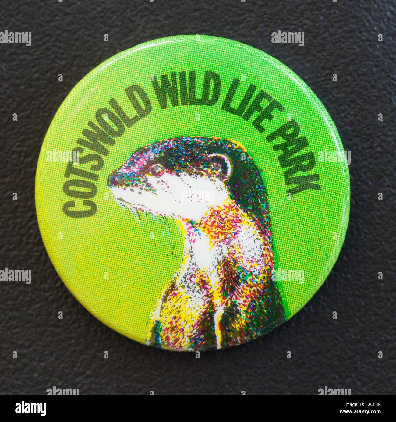 Vintage Pin Button Badge Werbung Cotswold Wildlife Park Stockfoto