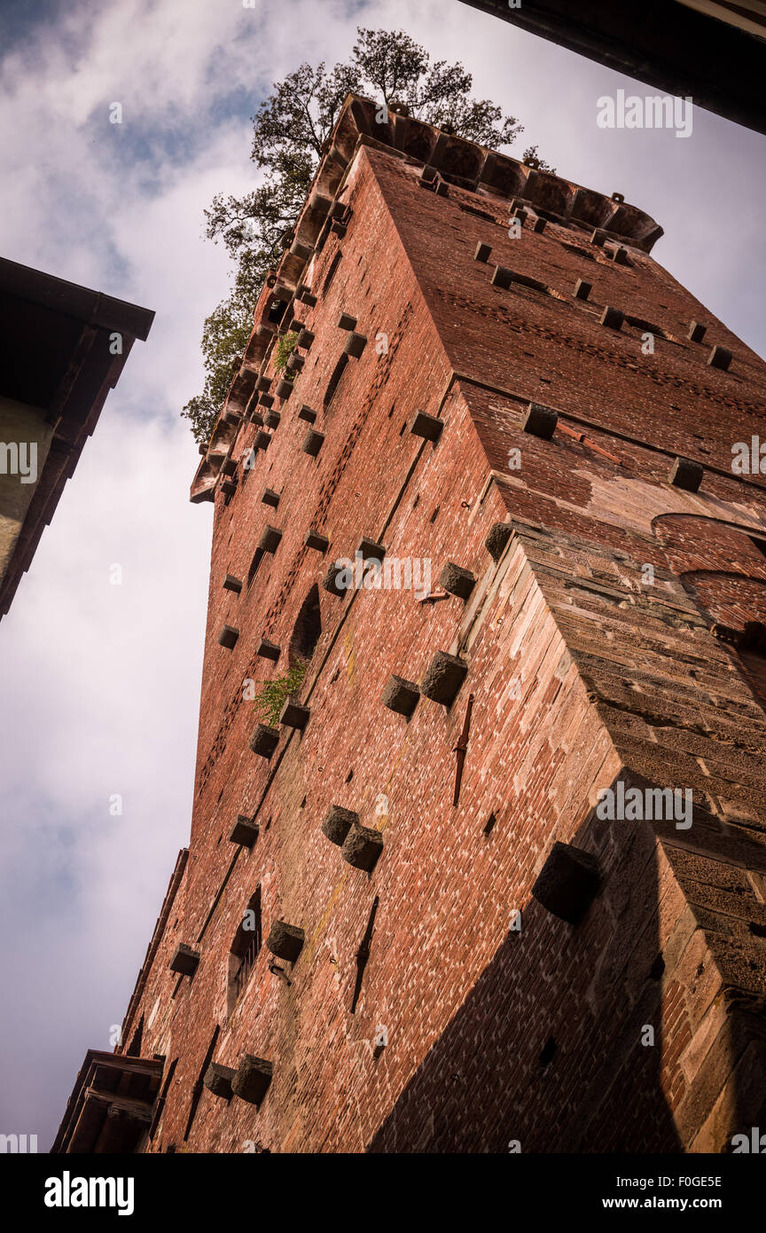 Turm im Zentrum der Stadt Lucca. Toskana, Italien Stockfoto