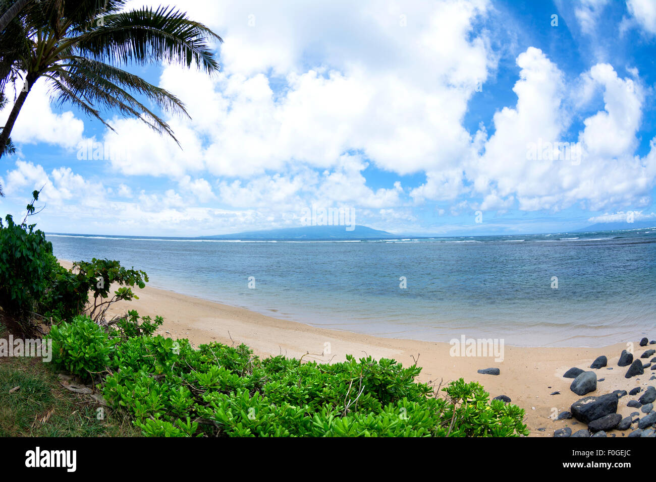 Blick auf einen tropischen Strand aus der Deckung der lebendige, grüne Laub und Palmen Stockfoto