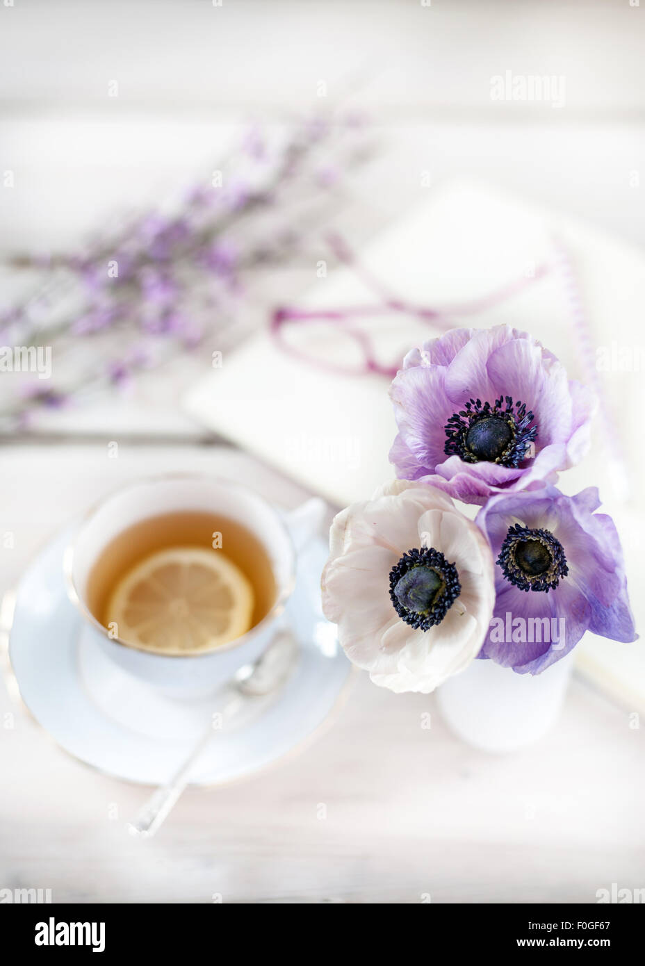 drei Anemonen in eine weiße Milchflasche mit unscharfen Tasse Tee mit Zitrone, Gläser, Notebook und Genista im Hintergrund Stockfoto