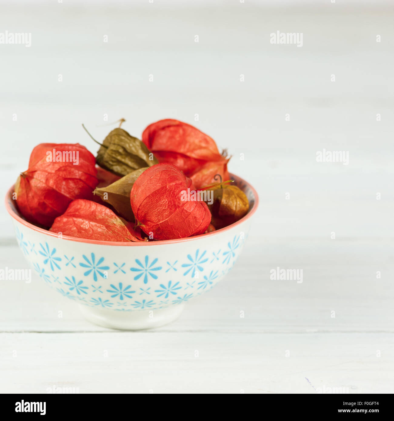 eine Schüssel weiße mit blauem Muster auf weißem Hintergrund jedoch unscharf gefüllt mit Physalis alkekengi Stockfoto