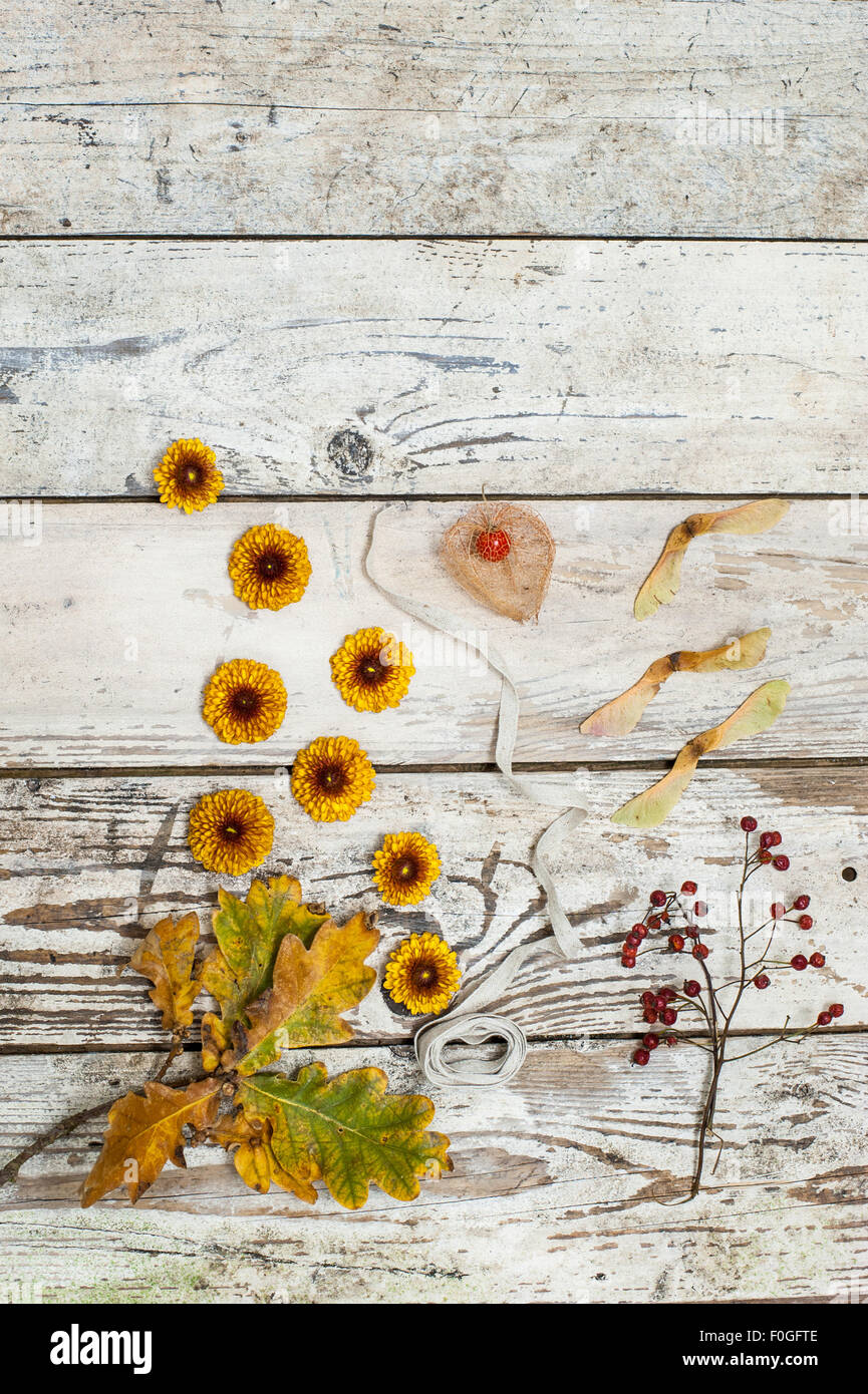 Herbst Blumen, Blätter und Samen auf rustikalen Holzoberfläche Stockfoto