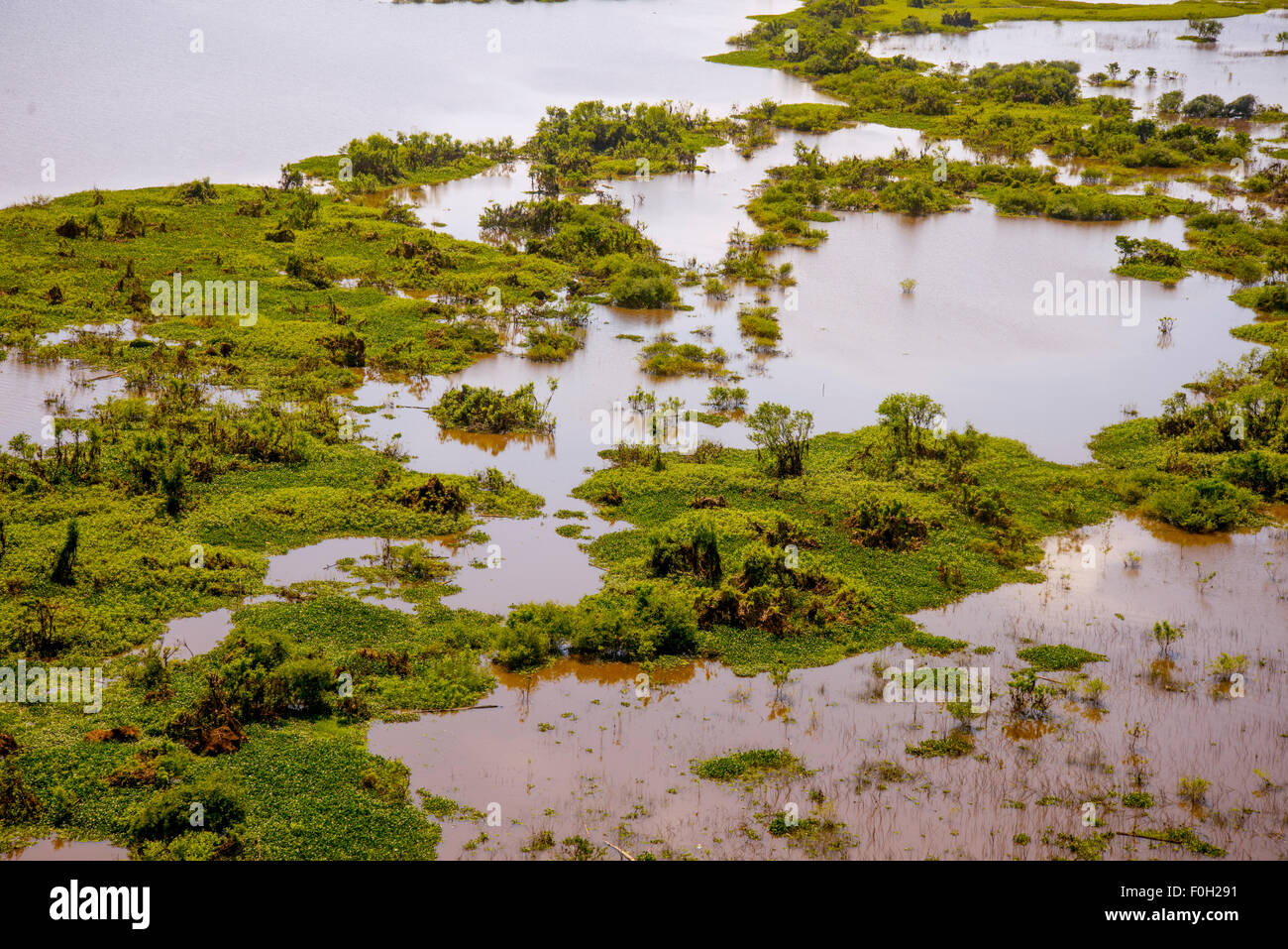 Amazonas Aue in Flut in der Nähe von Iquitos Antenne Stockfoto