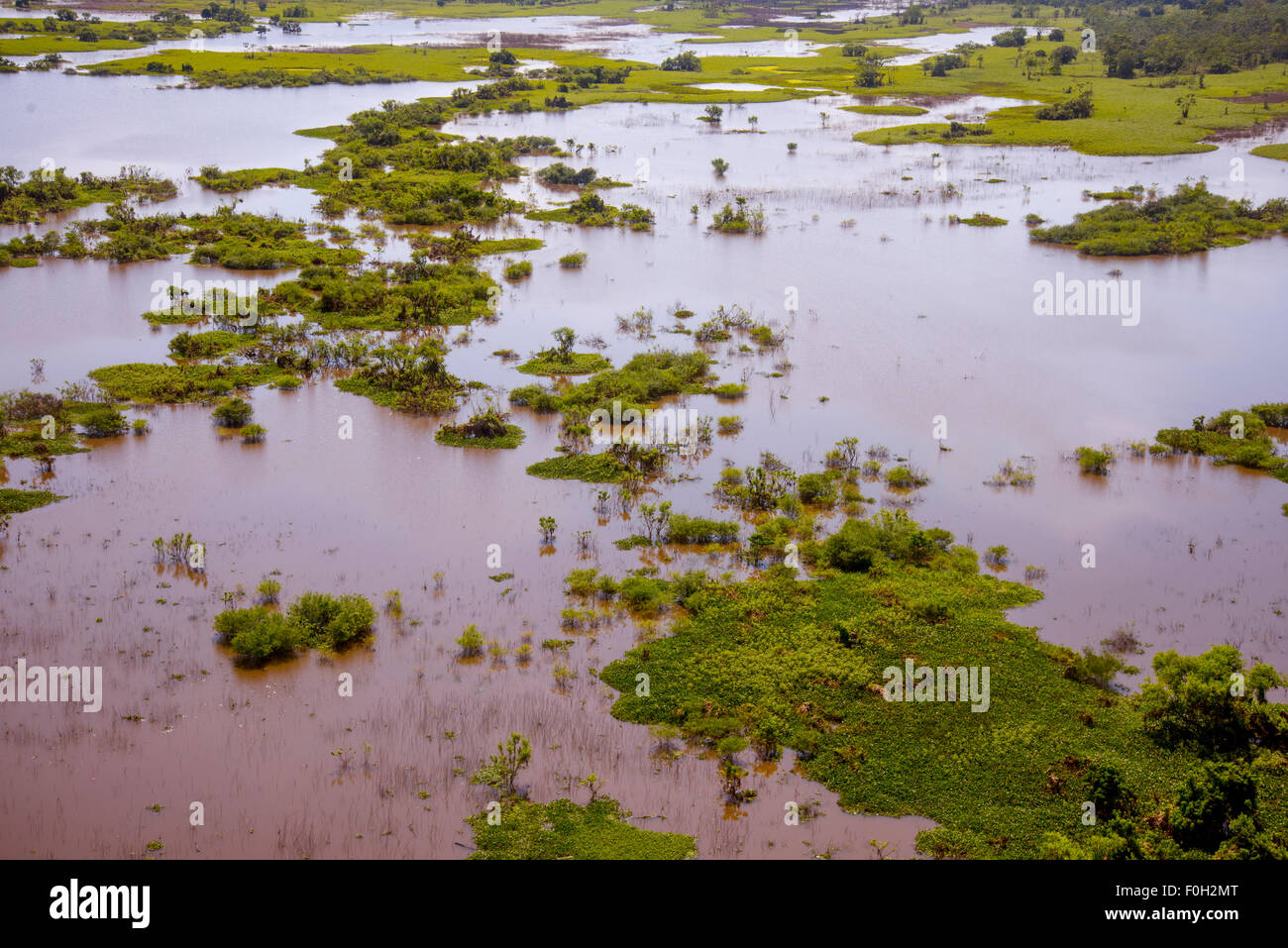 Amazonas Aue in Flut in der Nähe von Iquitos Antenne Stockfoto