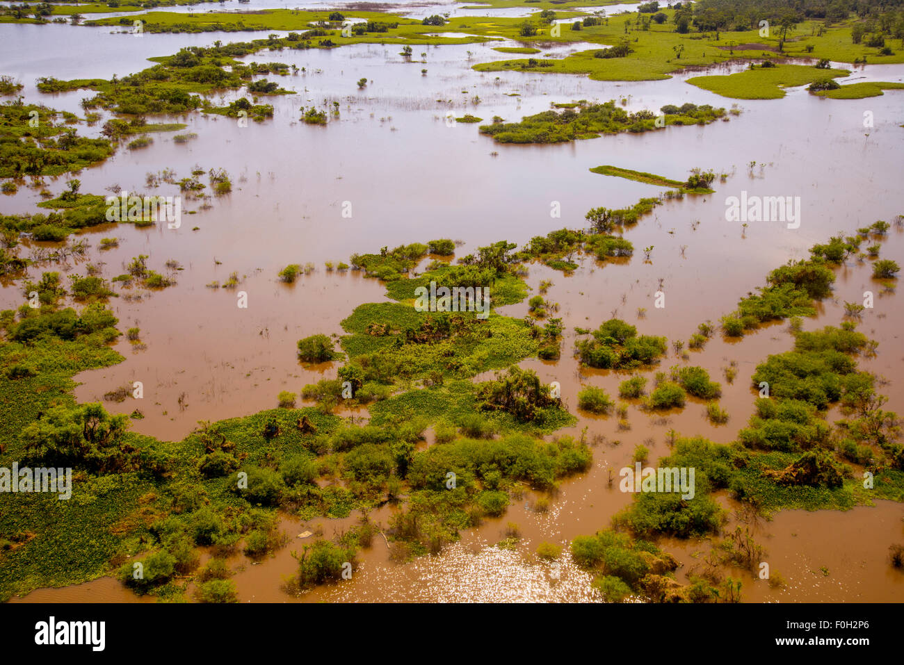 Amazonas Aue in Flut in der Nähe von Iquitos Antenne Stockfoto