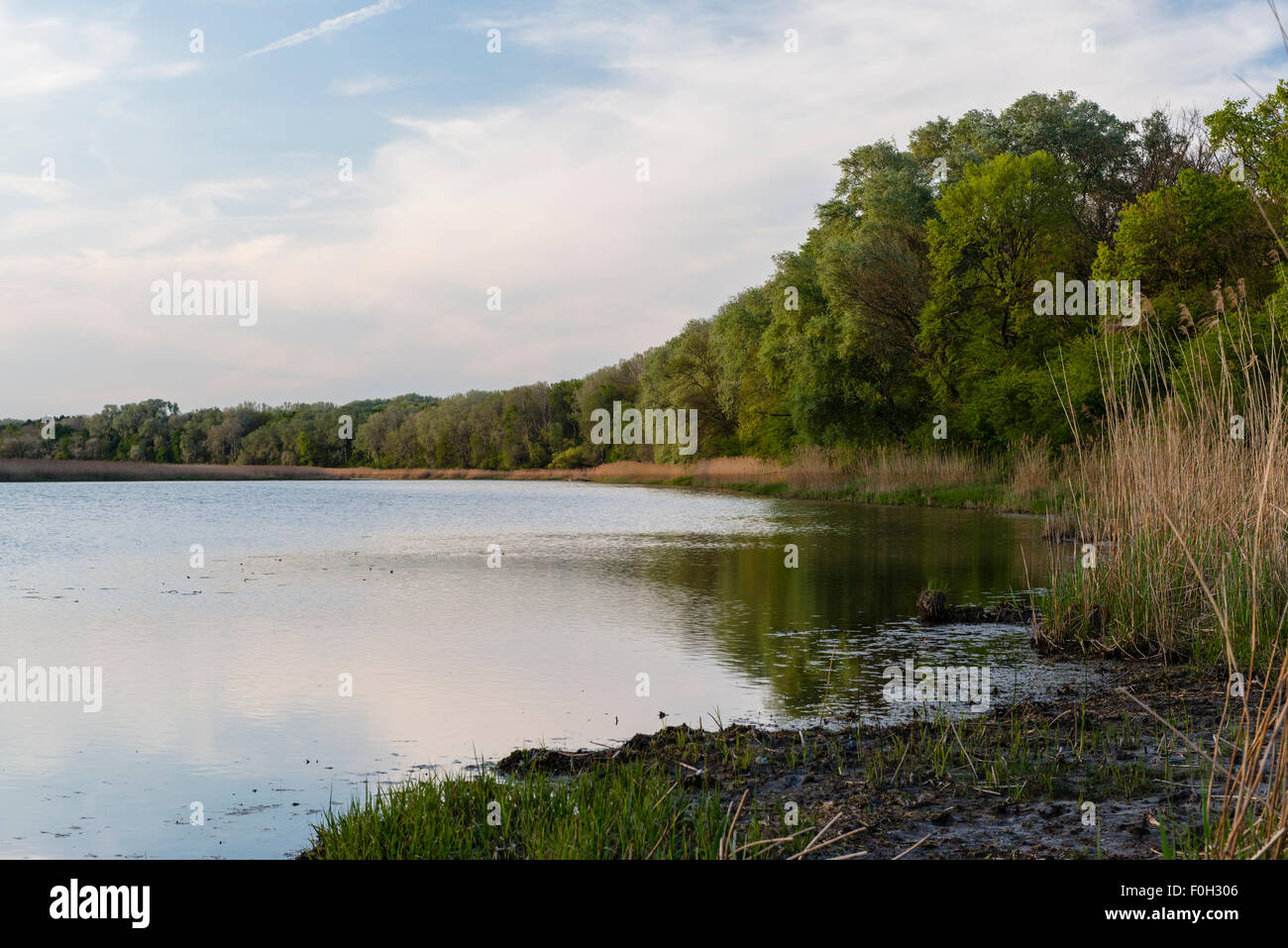 Kuhworther wasser Fotos und Bildmaterial in hoher Auflösung Alamy