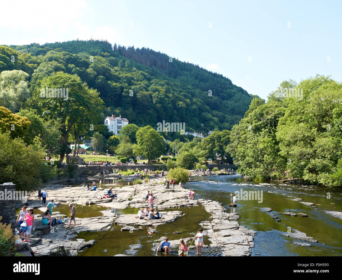 Schwimmen im Fluss Dee in Llangollen Denbighshire Wales Großbritannien Stockfoto