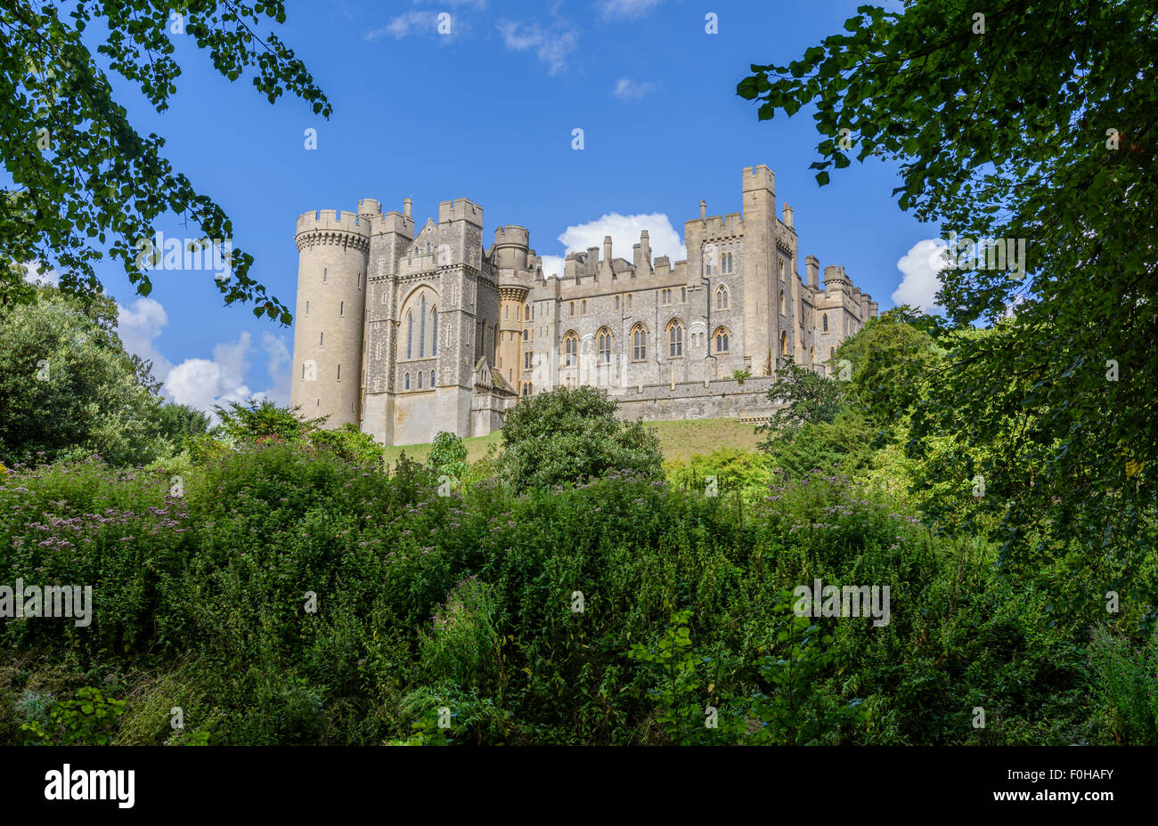 Anzeigen von Arundel Castle durch Bäume und Büsche im Sommer in Arundel, West Sussex, England, UK. Arundel GROSSBRITANNIEN. Stockfoto