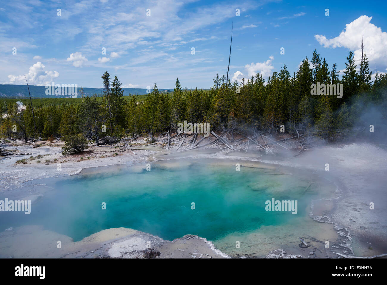 Smaragd der Frühling ist eine heiße Quelle befindet sich im Norris Geyser Basin des Yellowstone National Park, Wyoming, USA. Stockfoto