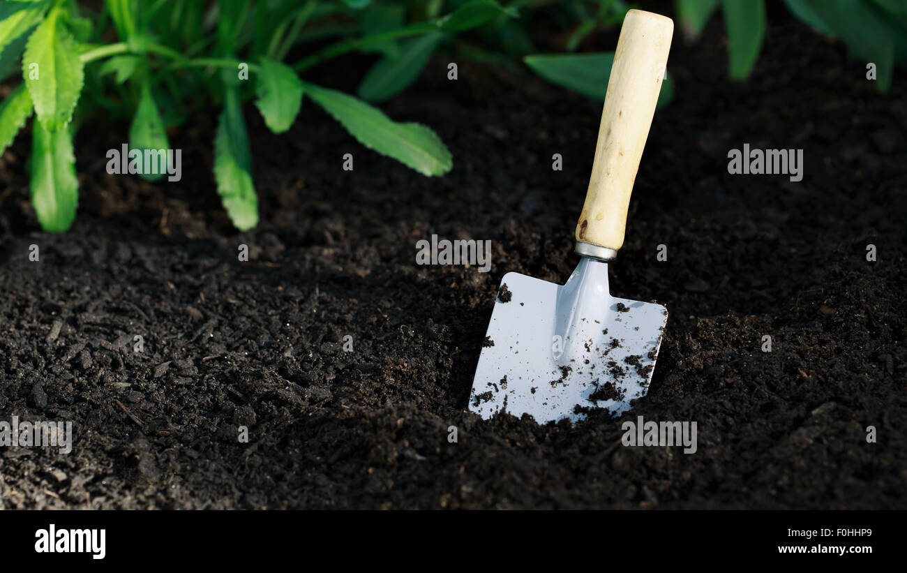 41+ Kleine Schaufel Garten Kreuzworträtsel, Gartenwerkzeug, kleine