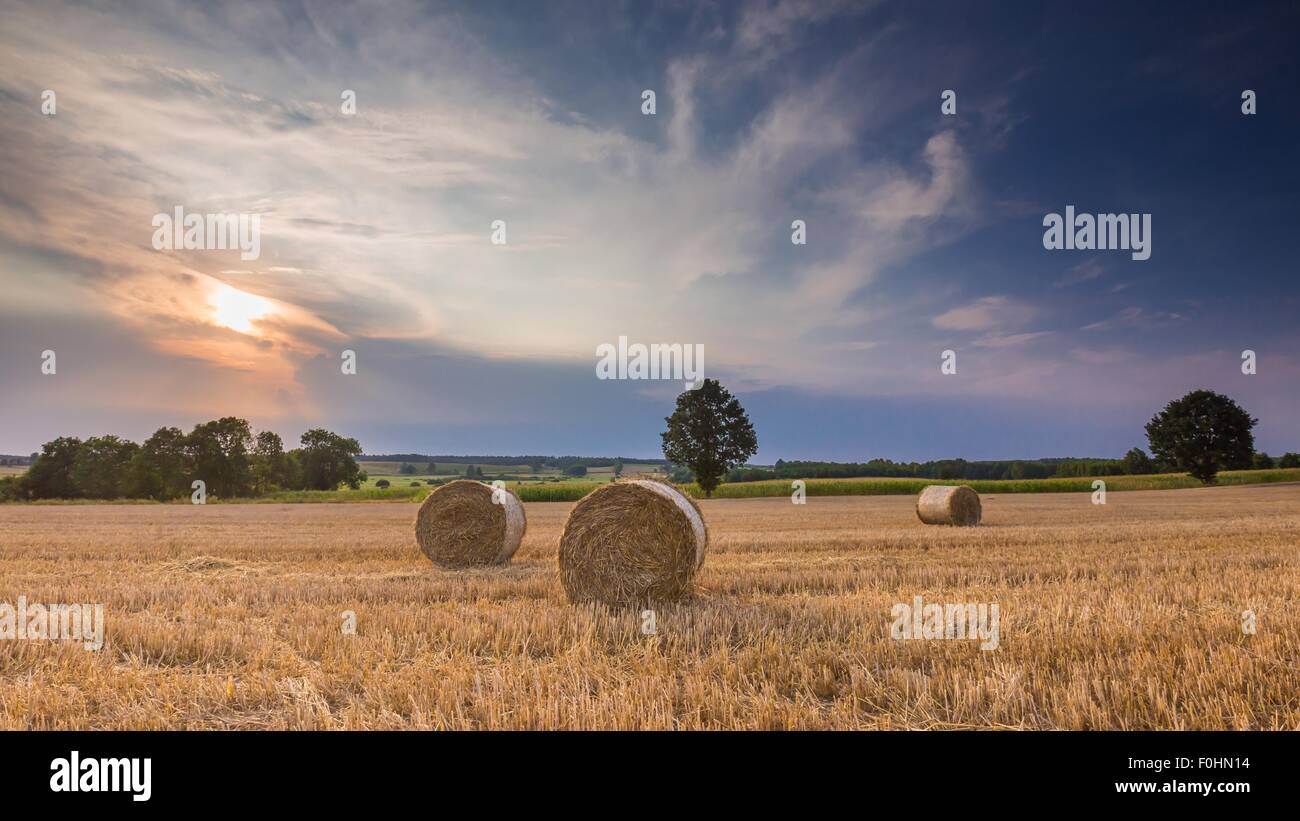 Stoppelfeld mit Strohballen. Schönen Sommer ländliche Landschaft fotografiert in Polen. Stockfoto