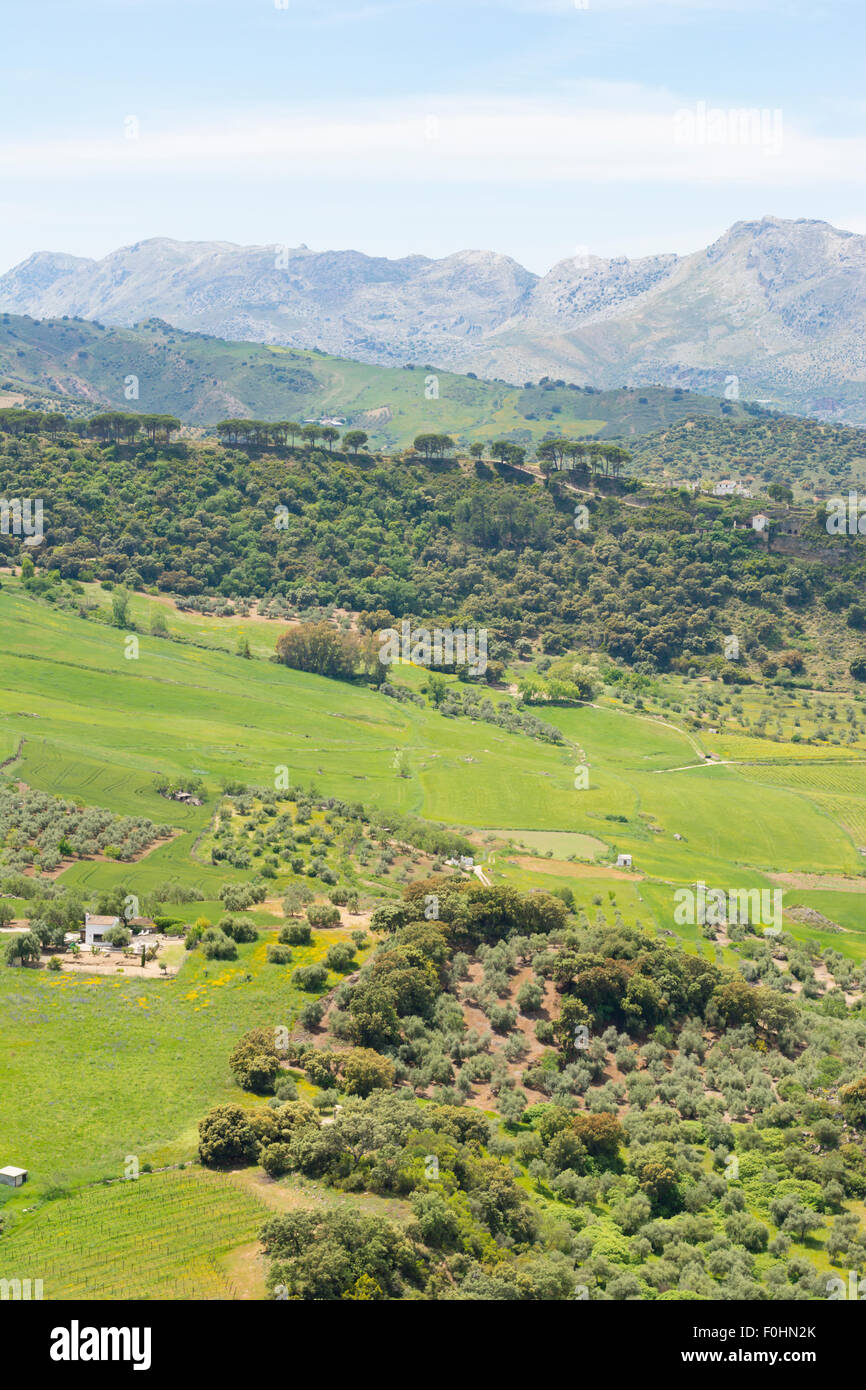 Der Blick von El Tajo aus Alameda Del Tajo und Calle Virgen De La Paz in Ronda in Andalusien, Spanien Stockfoto