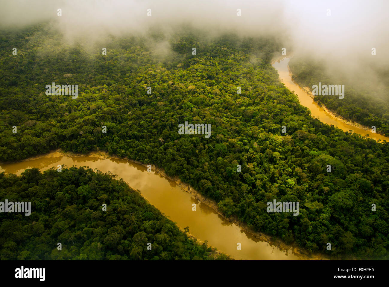 Amazonas-Regenwald Antenne. Primärwald, Yavari Miri River, zwischen Iquitos, Peru und brasilianischen Grenze Stockfoto