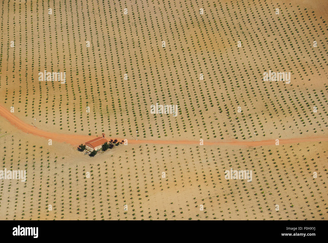 Luftaufnahme von Intenisvely bewirtschaftet Ackerland mit landwirtschaftlichen Gebäudes, Salamanca Region Castilla y Leon, Spanien, Mai 2011 Stockfoto