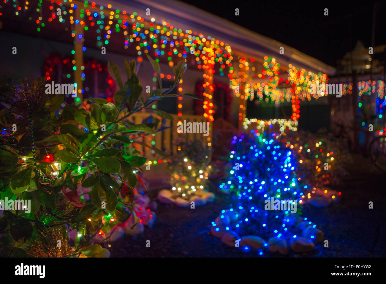 Abstrakte Weihnachten Hintergrund, Lichter auf Bäume und Pflanzen, Puerto Viejo, Caraïbes, Costa Rica 2014. Stockfoto