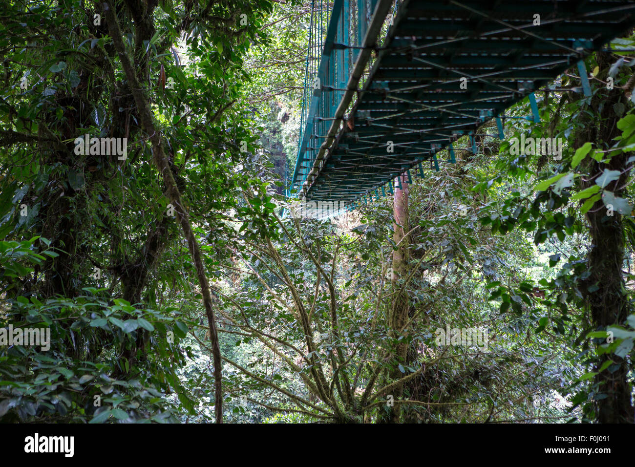 Hängende Brücke. Costa Rica, Zentralamerika. Reisen/Urlaub Konzept. Santa Elena Nebelwald Stockfoto