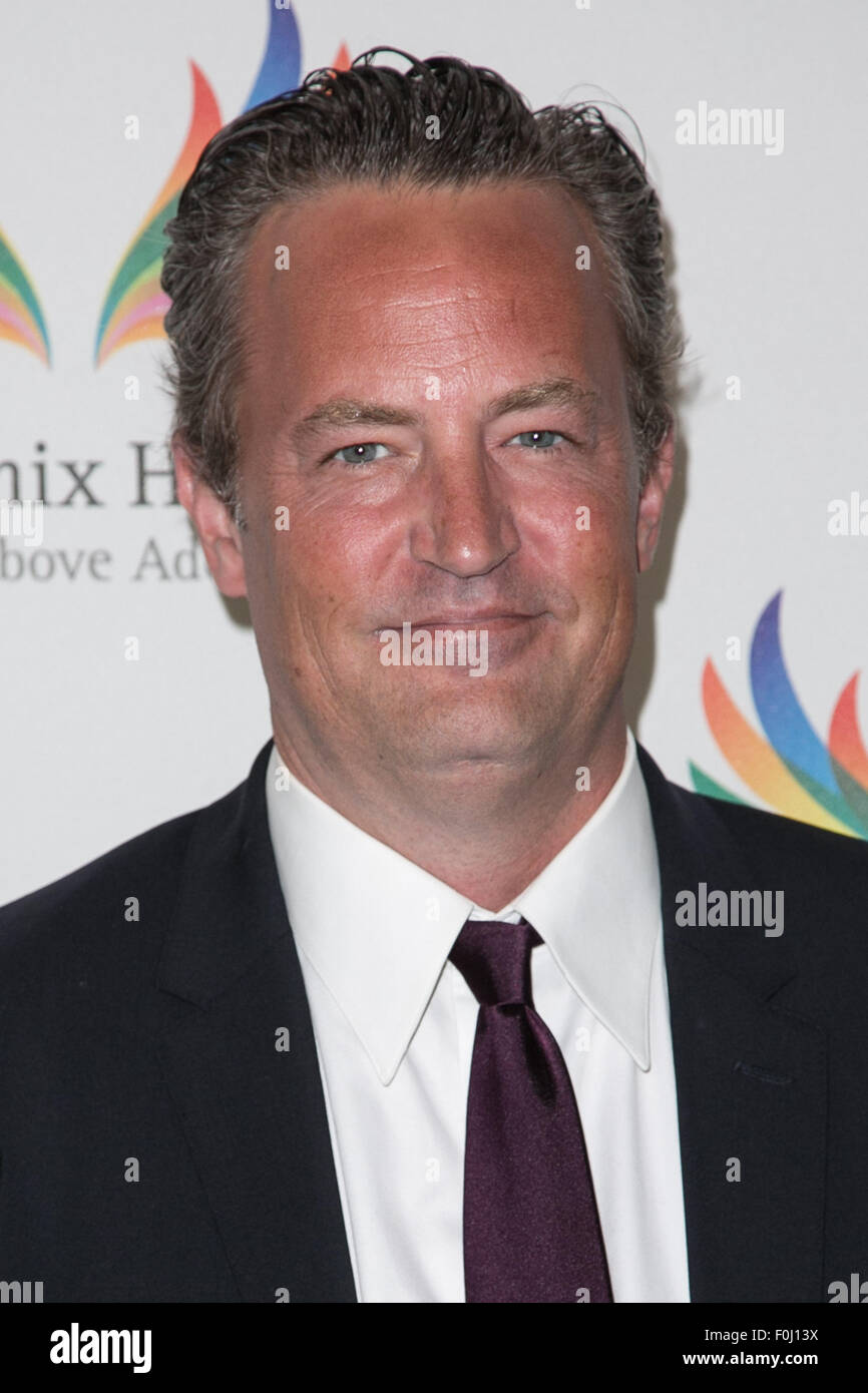 Prominente besuchen Phoenix House 12. jährliche Triumph für Teens Awards Gala im Montage Beverly Hills.  Mit: Matthew Perry wo: Los Angeles, California, Vereinigte Staaten von Amerika bei: 15. Juni 2015 Stockfoto