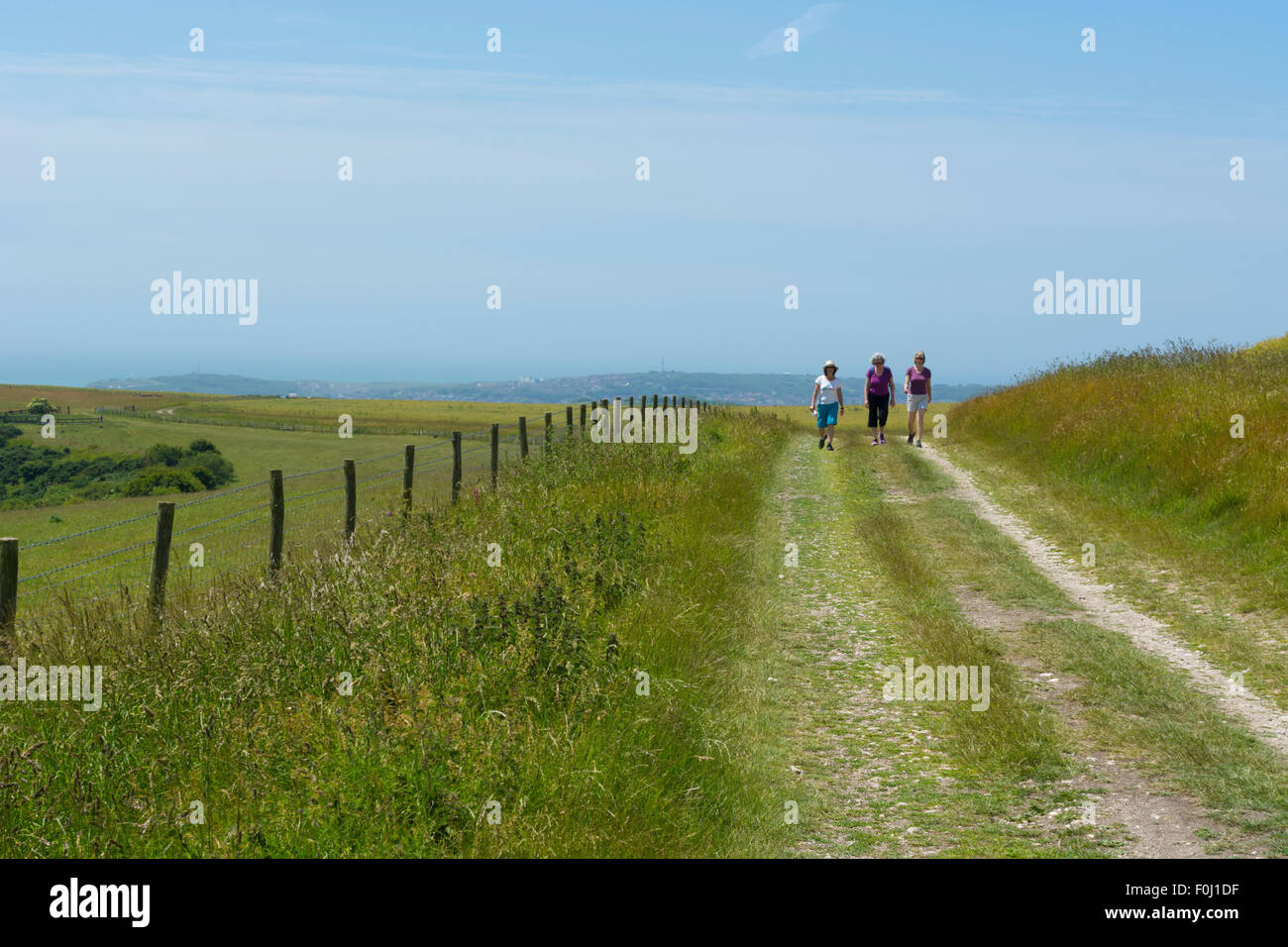 Eine Gruppe von Wanderern zu Fuß auf der South Downs Way in der South Downs National Park Stockfoto