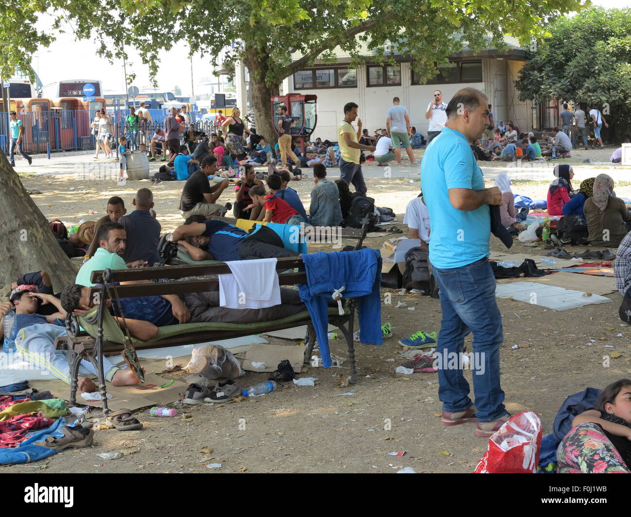 Belgrad, Serbien. 15. August 2015. Flüchtlinge-Camp und warten an der Bushaltestelle in Belgrad, Serbien, 15. August 2015. Hunderte von Flüchtlingen aus Syrien, Afghanistan, Pakistan und anderswo sind in den Parks der serbischen Hauptstadt lagerten. Sie erwarten abends Busse nach Subotica oder Kanjiza an der serbisch-ungarischen Grenze zu fangen. Foto: THOMAS BREY, DPA/Alamy Live-Nachrichten Stockfoto