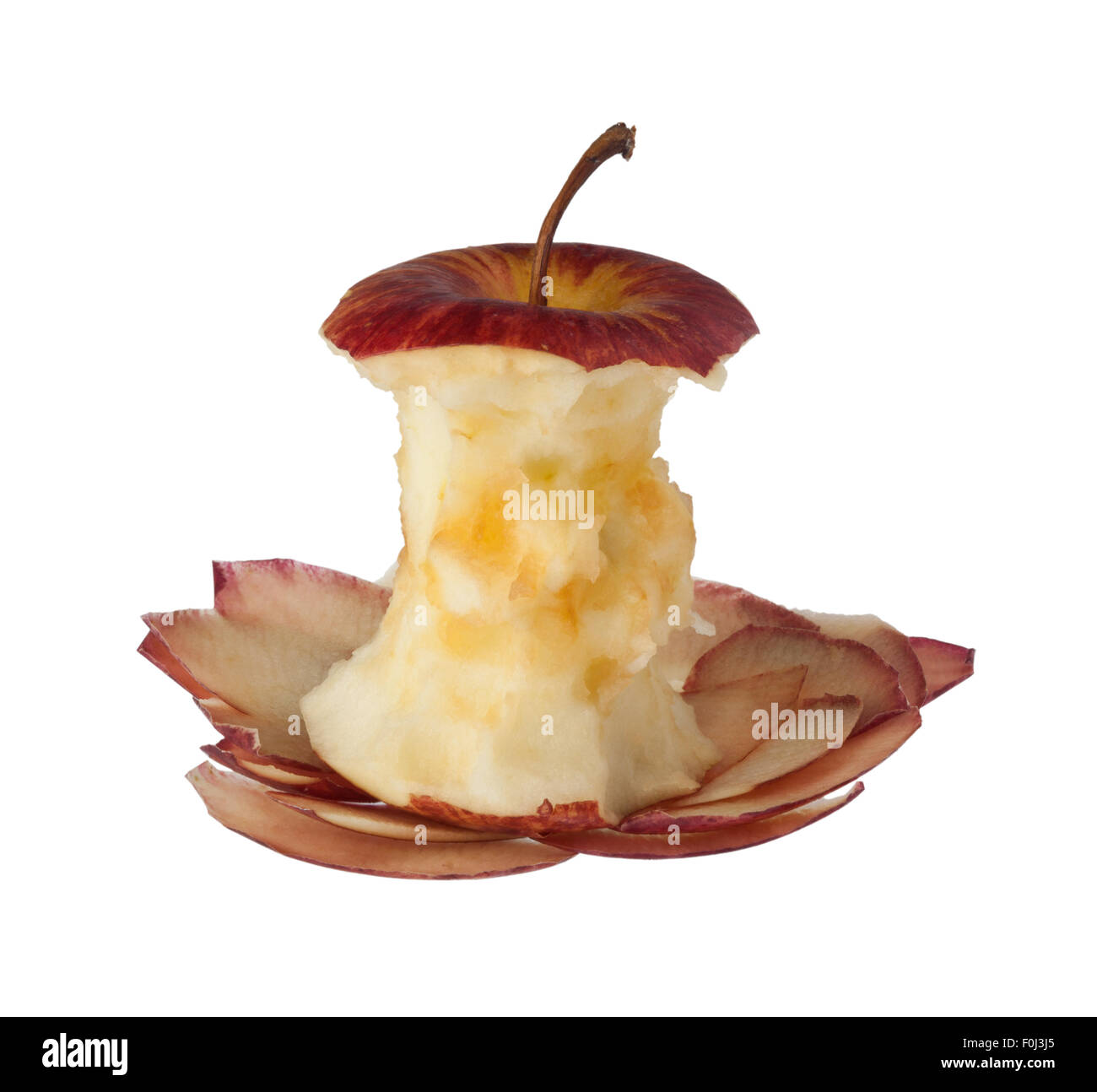 Apfel-Kern auf einem Haufen schält isolierten auf weißen Hintergrund Stockfoto