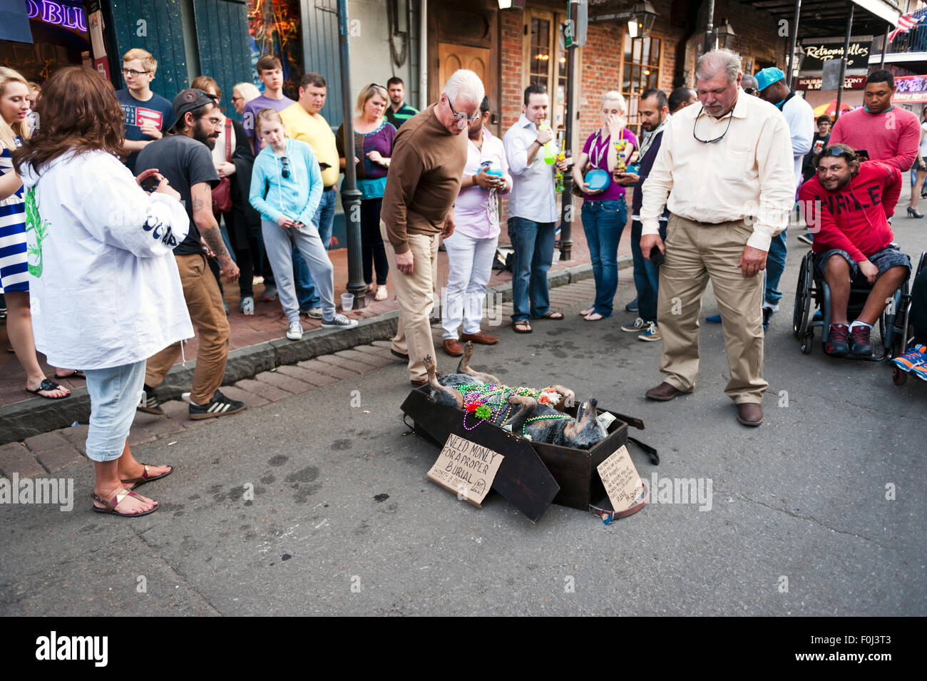 Eine Straße Schauspieler mit einem Hund wirkenden tot in einem Sarg auf den Straßen von New Orleans, Louisiana im French Quarter. Stockfoto