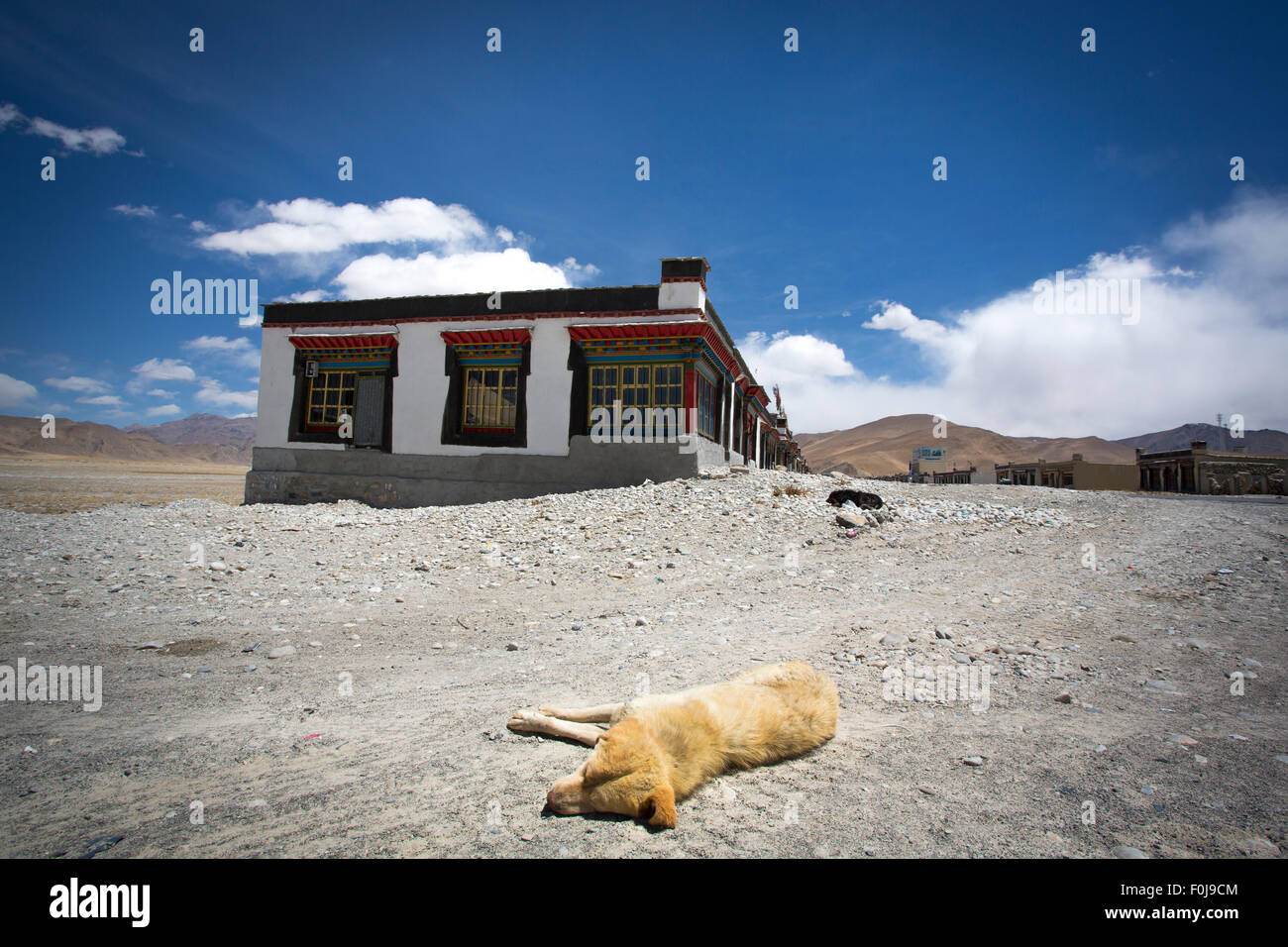 Ein gelber Hund schlafen in einem kleinen Dorf am Friendship Highway in Tibet unterwegs Stockfoto