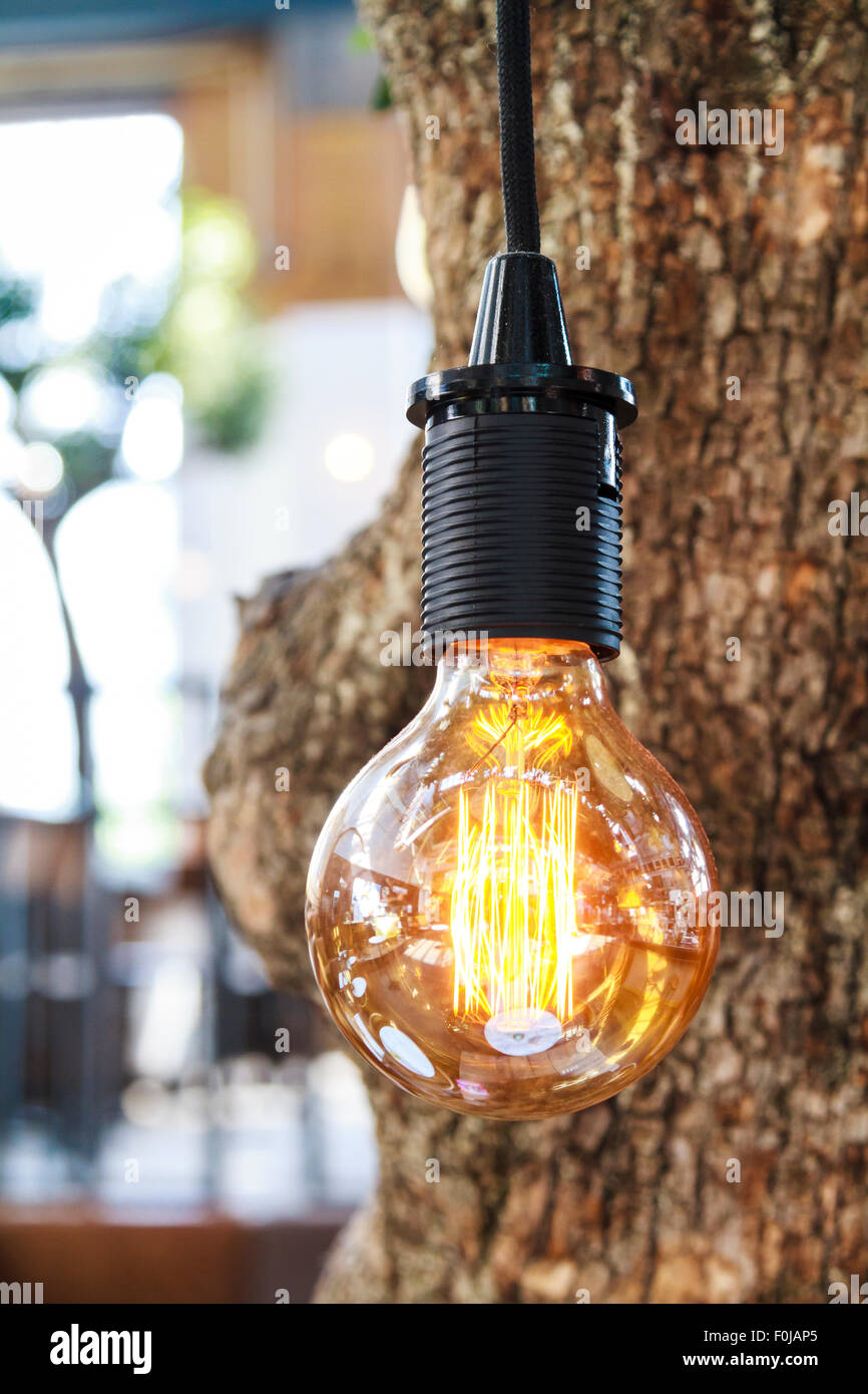 Retro-Glühbirne mit Bokeh in Baum hängen Stockfotografie - Alamy