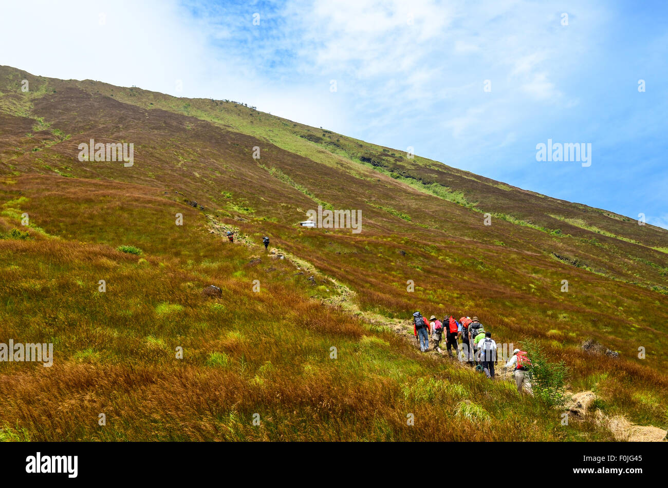 Besteigung des Mount Cameroon (Mount engagiert), des höchsten Gipfels des West-Afrika Stockfoto