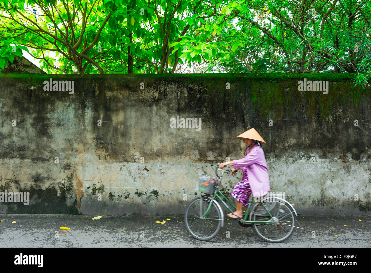 Vietnam-Frau radelt, Blick auf eine ältere Vietnamesin, die einen konischen Hut trägt und in rosa gekleidet ist, die auf einer Straße in Hoi an, Zentralvietnam, fährt. Stockfoto