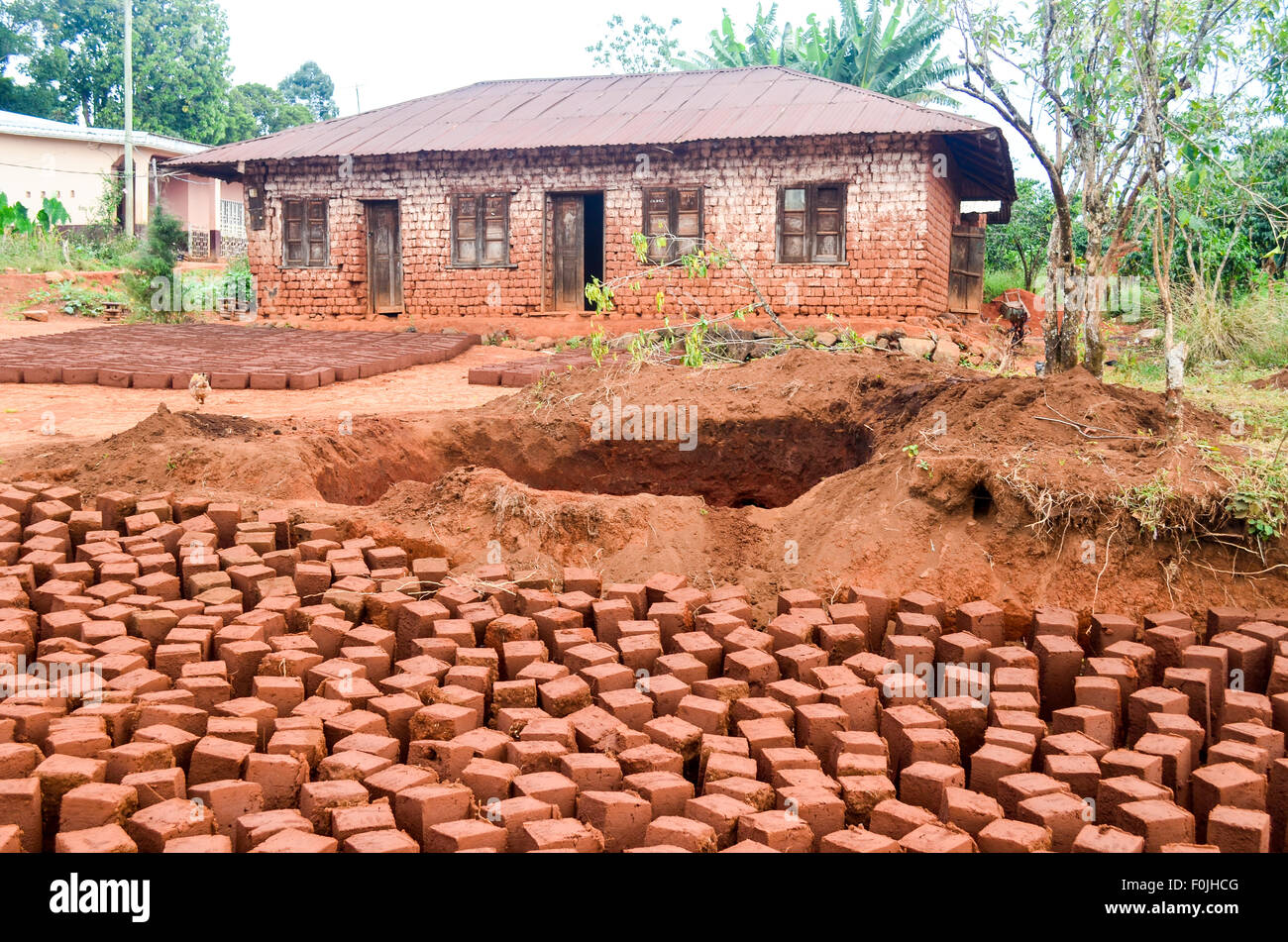 Schlamm-Ziegel trocknen, um Häuser zu bauen in Kamerun Stockfoto