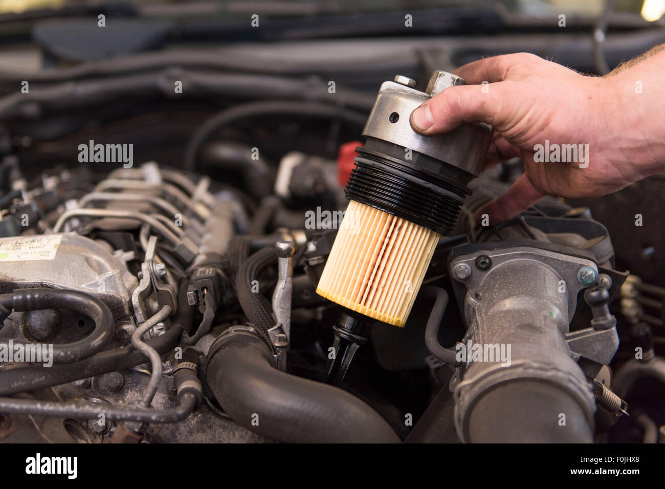 Kfz-Mechaniker passt einen neuen Ölfilter, ein Auto bei der routinemäßigen Wartung. Stockfoto
