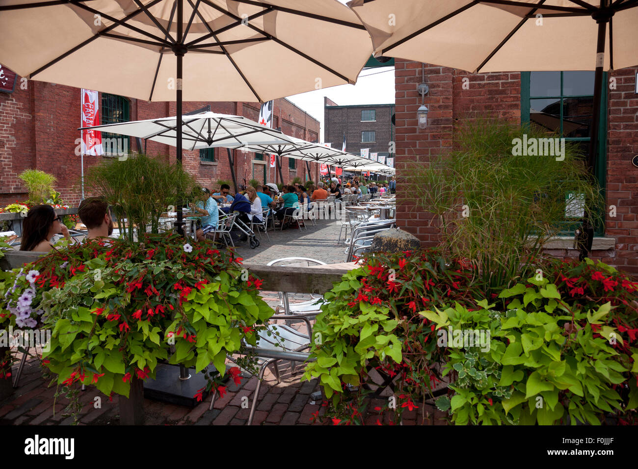 Toronto-2015 Gastgeberstadt bis zum 2015 Pan Am / Parapan Spiele und Panamania in Toronto, Ontario; Kanada, Feier am Wiener Rathausplatz Stockfoto