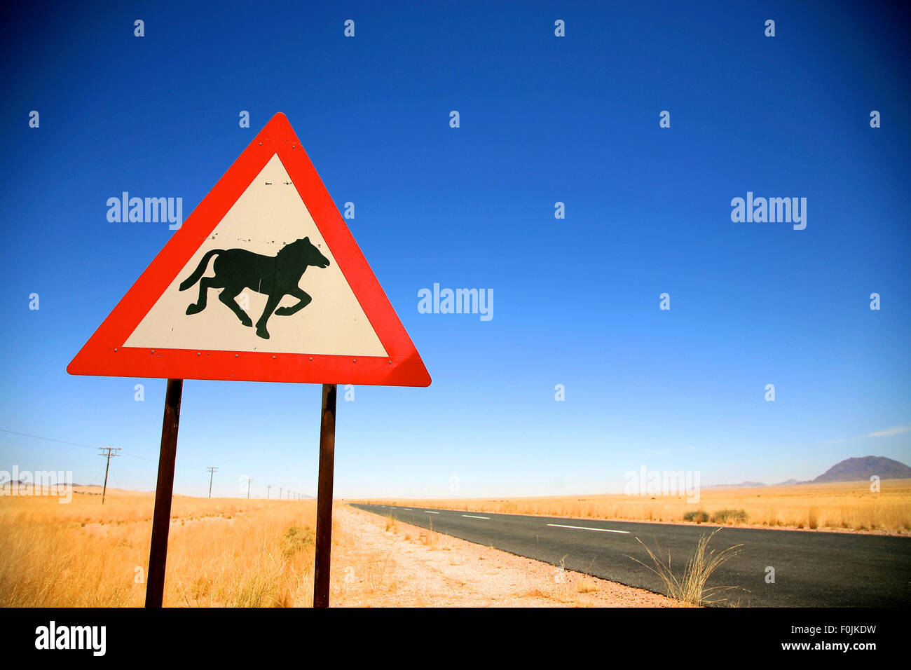 Wildpferde beim Überqueren der Straße, Warnzeichen in Namibia auf dem Weg nach Lüderitz vor blauem Himmel. Stockfoto