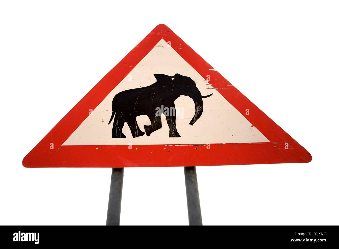 Verkehrszeichen Achtung der Anwesenheit von wilden Elefanten in der Region isoliert auf weißem Hintergrund. Namibia Stockfoto