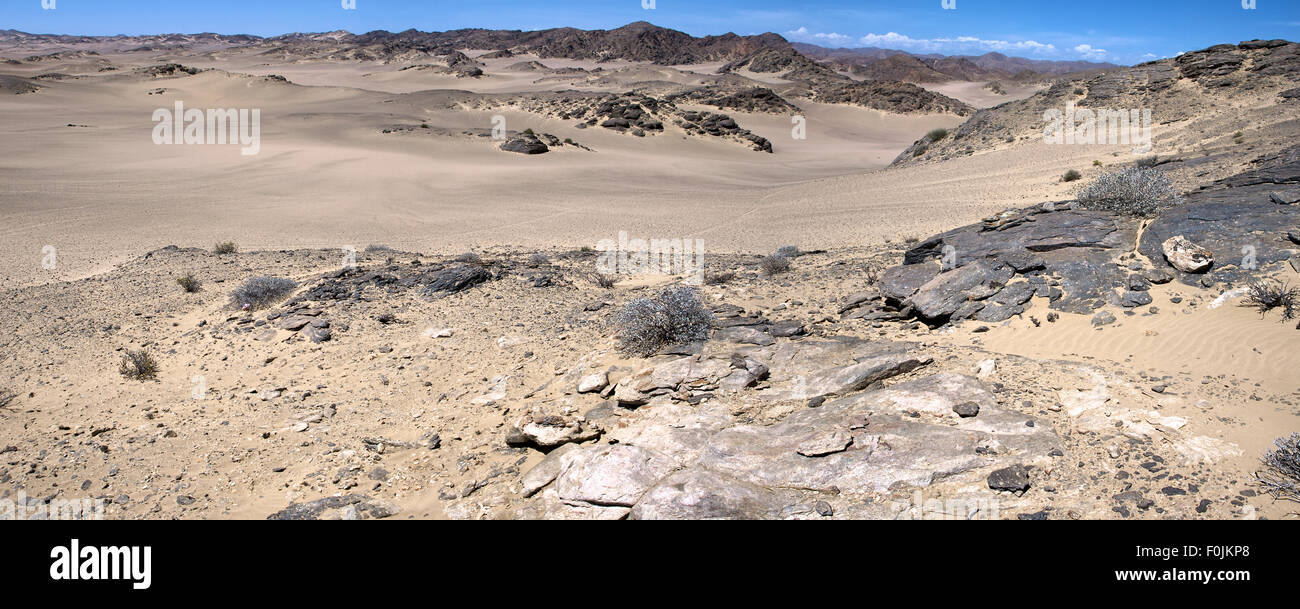 Die weißen Sandwüste in der Skeleton Coast, Namibia. Stockfoto