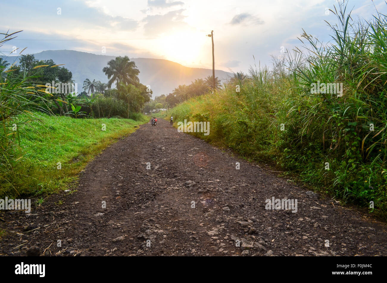 Feldweg in Kamerun Stockfoto