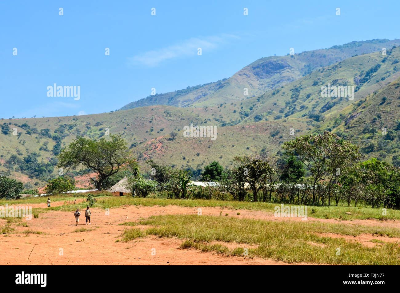 Kinder in einem Feld in Kamerun Stockfoto