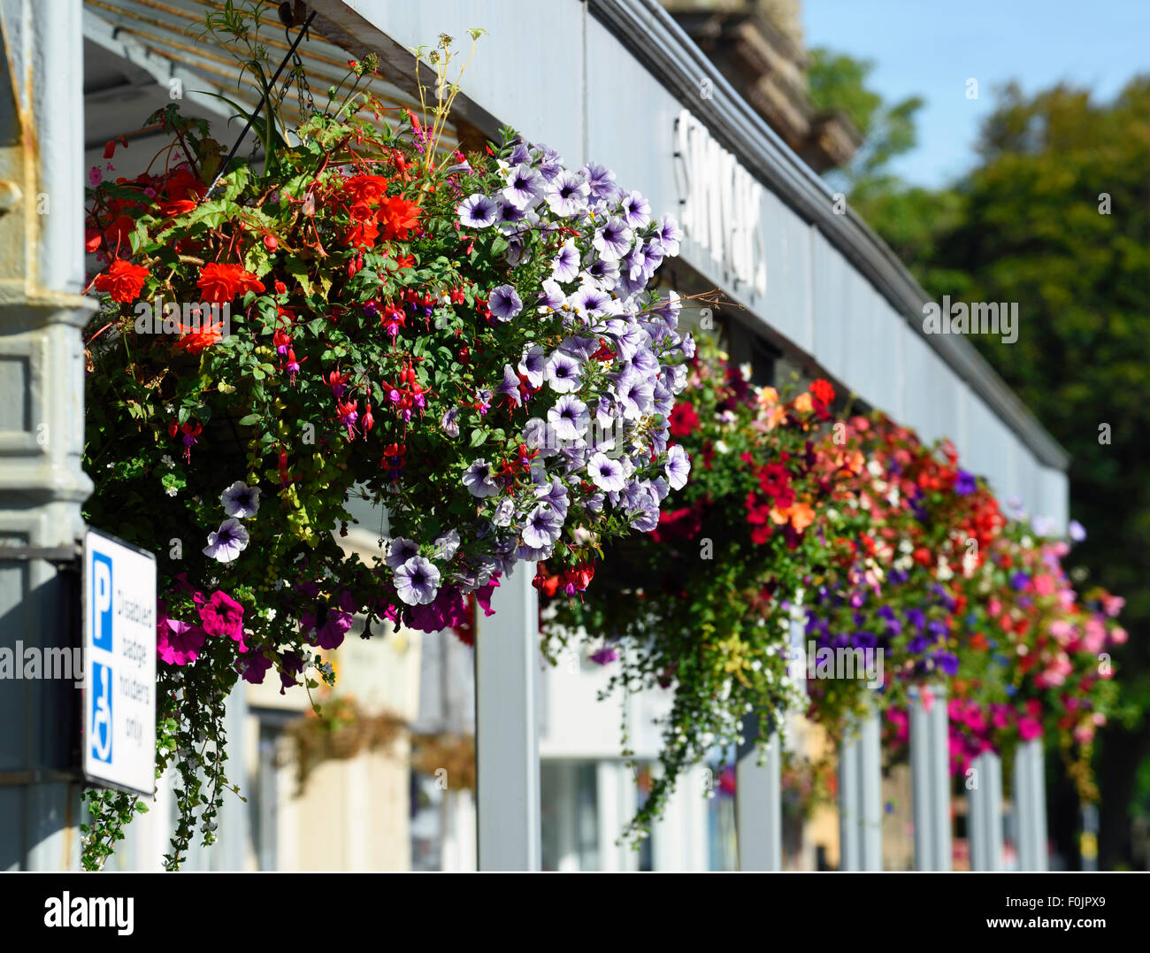 Reihe von bunten Blumenampeln vor einem Geschäft in Lytham, Lancashire Stockfoto