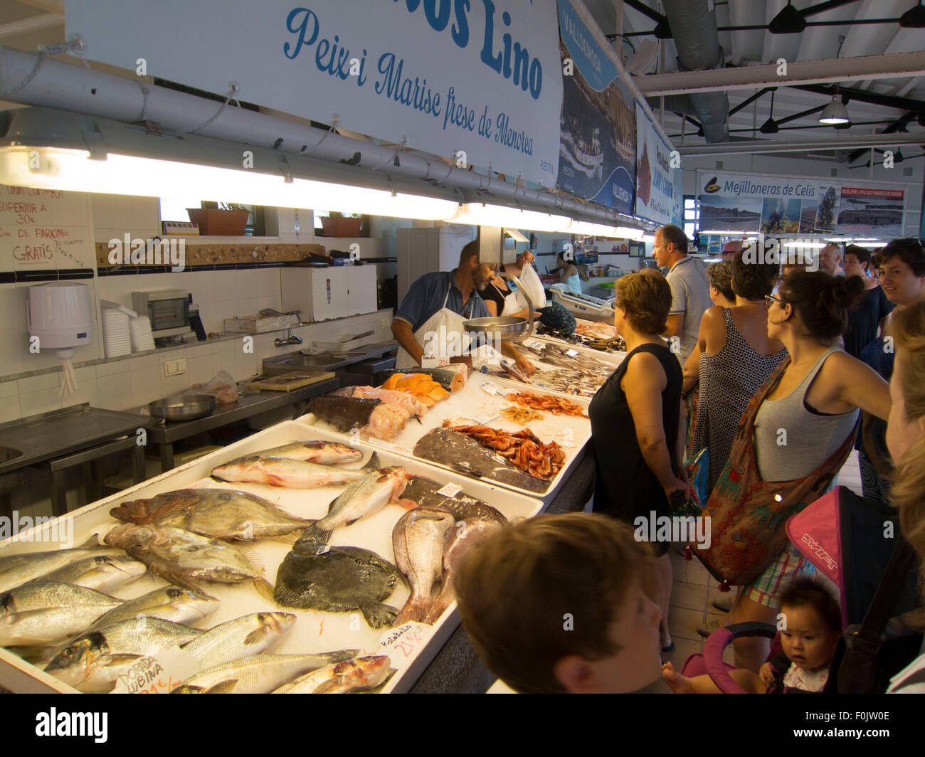 Mercado de pescado de pescado Fotos und Bildmaterial in hoher