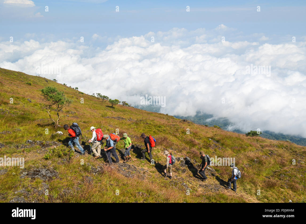 Touristen während der Besteigung des Mount Cameroon (Mount engagiert), des höchsten Gipfels des West-Afrika Stockfoto