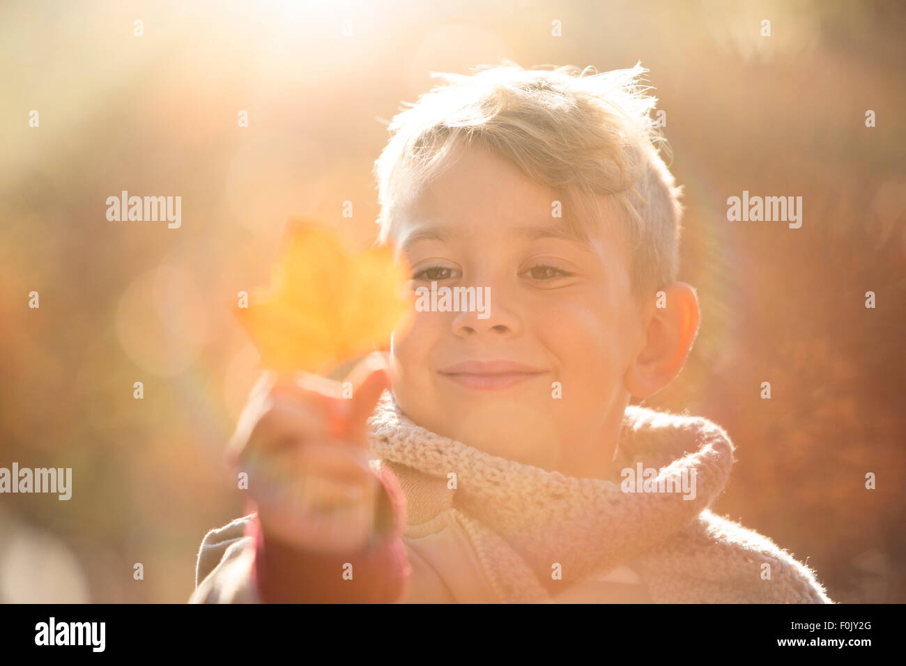 Lächelnde junge hält goldenen Herbst Blatt hautnah Stockfoto